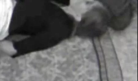 Um homem ajuda a prolongar uma garota sexy não percebeu como o fim dele cai novinha brasileira dando o cu de suas cuecas e a cadela imediatamente começou a chupar, gostou freneticamente e colocá-lo em uma bola grande, começou a gozar, Pau grande
