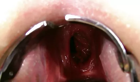 Trust 8212; toda mulher no mundo sonha com um golpe áspero em ambos os buracos;) comendo gordinha brasileira