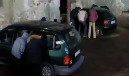 Bela sexso gostoso loira natural beleza gemidos cunnilingus e difícil galo ela namorado pornografia