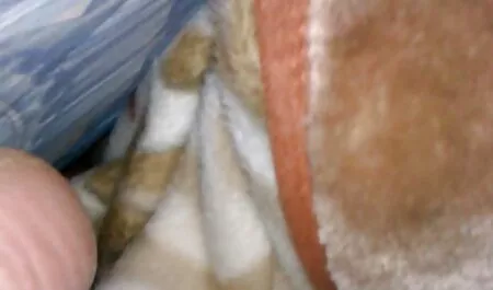 A menina acabou por ser um grande no novinha brasileira metendo sexo